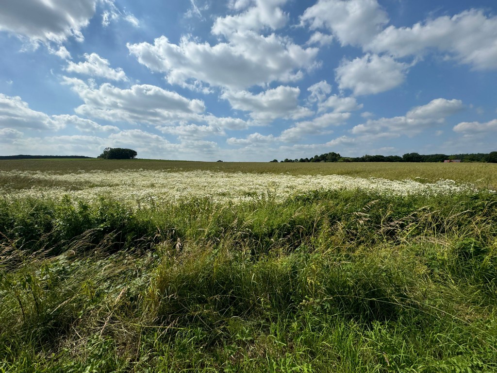 Wanderung in und um Wellingen